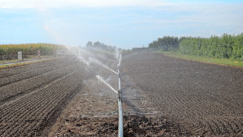 Riego suplementario: estrategia clave para el desarrollo agropecuario Riego suplementario: estrategia clave para el desarrollo agropecuario