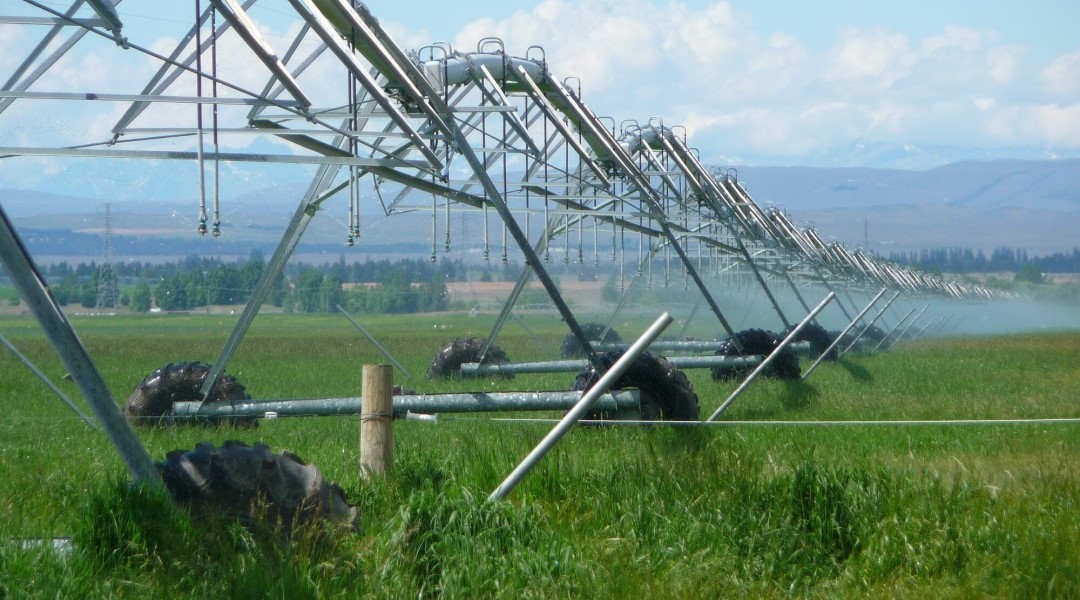Diploma de Especialización en Agronegocios Sostenibles semipresencial