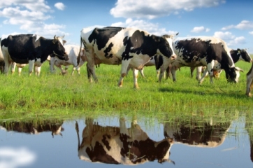 Problemas del agro